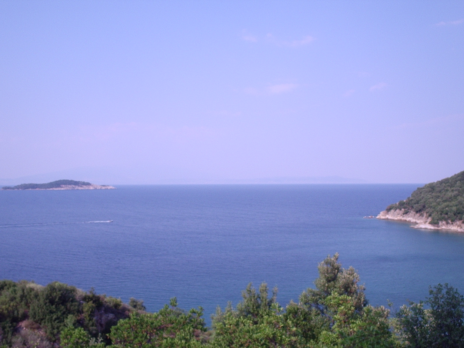 P3090787.JPG
